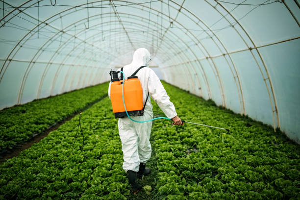 Best Pest Control Near Me  in Bethel Rk, PA