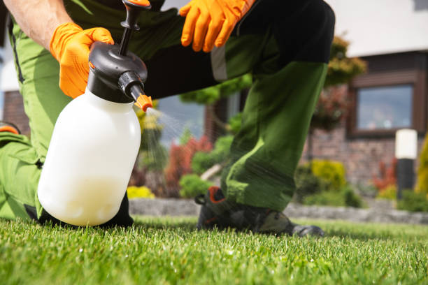 Best Termite Control Services  in Bethel Rk, PA