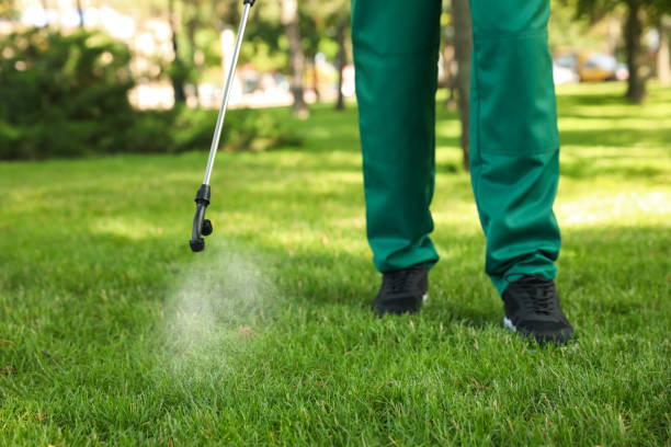 Pest Control for Restaurants in Bethel Park, PA