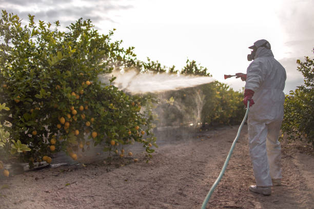 Best Best Pest Control Companies  in Bethel Rk, PA
