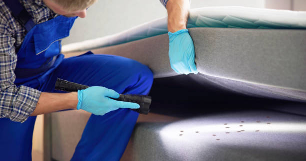 Best Affordable Pest Control Services  in Bethel Rk, PA