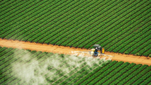 Best Commercial Pest Control Services  in Bethel Rk, PA