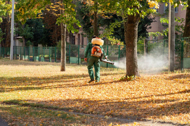 Best Local Pest Control Services  in Bethel Rk, PA