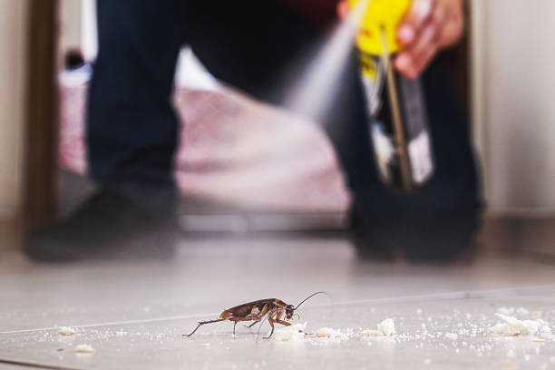 Best Mosquito Control Services  in Bethel Rk, PA